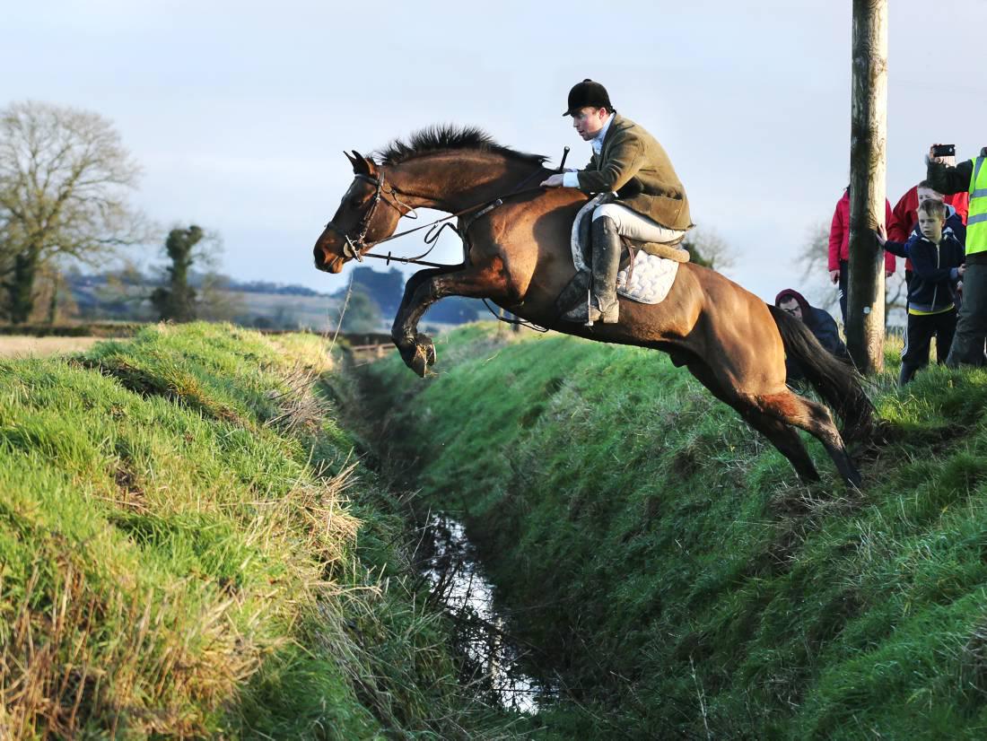 Related Tags The Irish Field