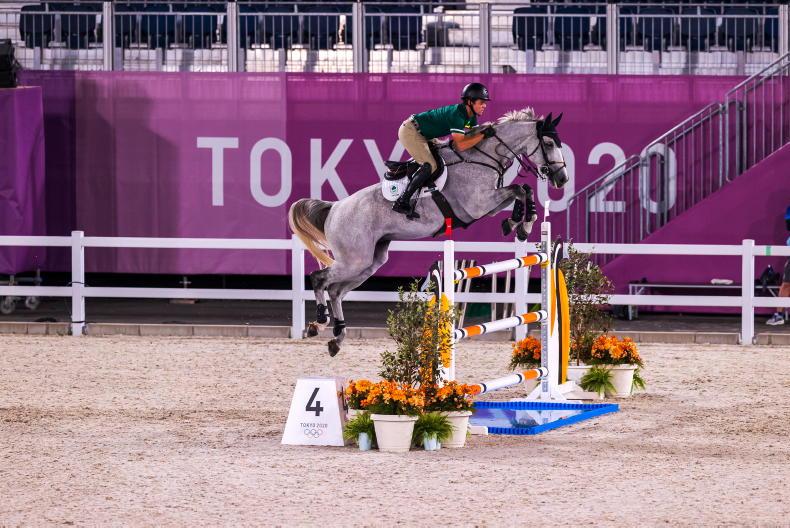 tokyo pictures irish show jumpers ready for action