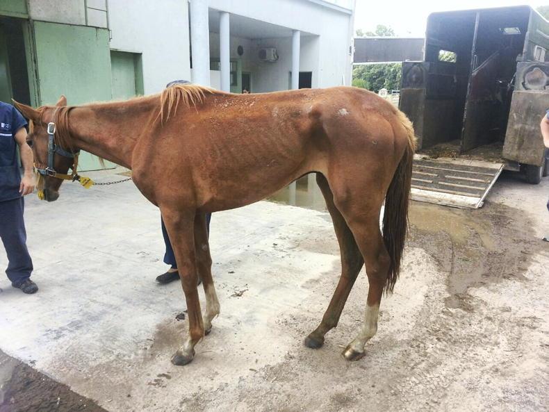 How well do wormers work? 17 March 2023 Free