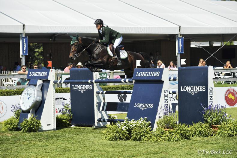 Show Jumping Show jumping Ireland Sport Horse