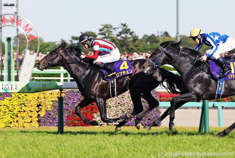 JAPAN: Lovcen proves the Premier colt 24 April 2026 Premium