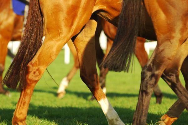 Dylan Mouth returns to form   