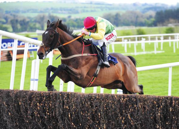 Sizing Europe has Gowran Park in his sights