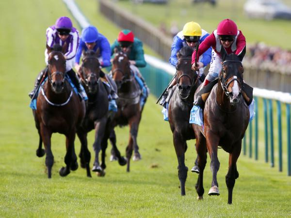 Belardo blasts home for Dewhurst surprise