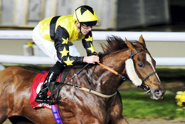 Pelerin adds to Shamardal success