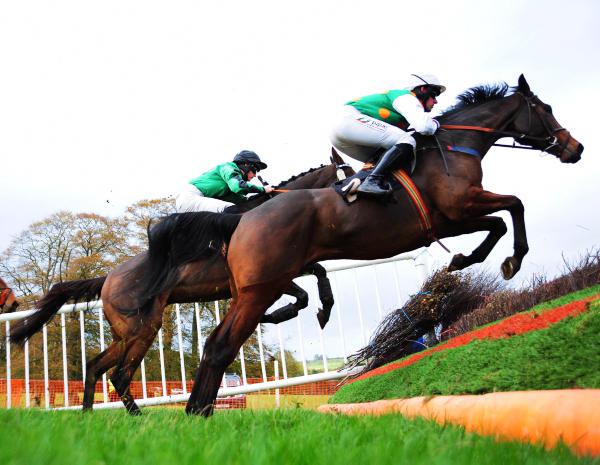 Proven talent on offer at Cheltenham