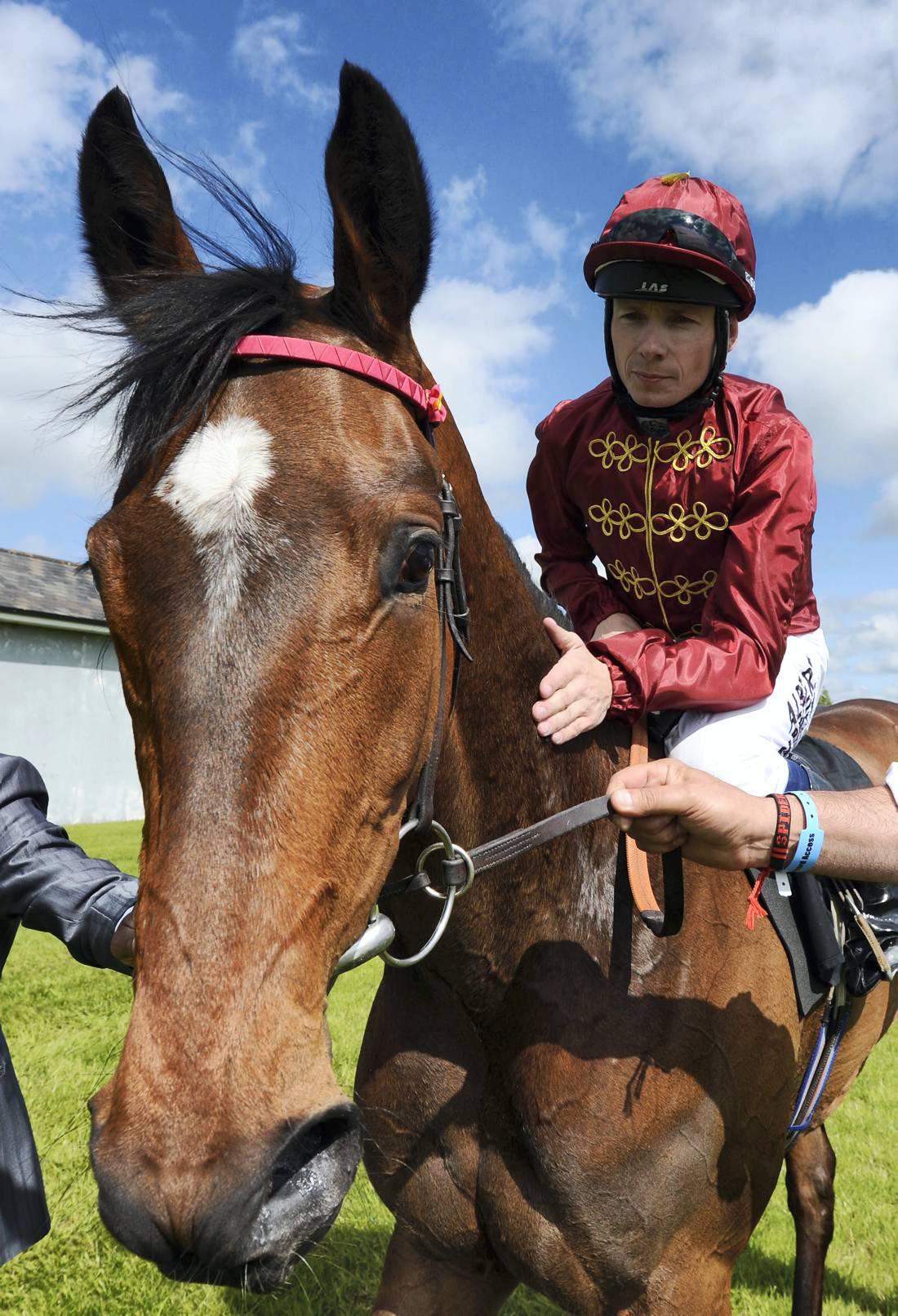 Just The Judge is Newmarket highlight