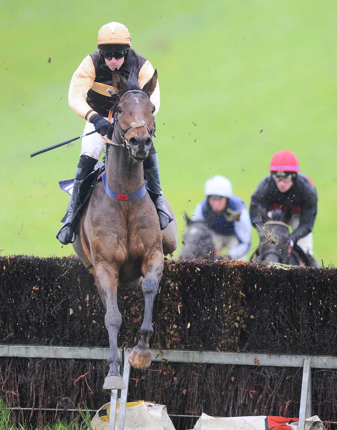 Some exciting newcomers ready to progress further