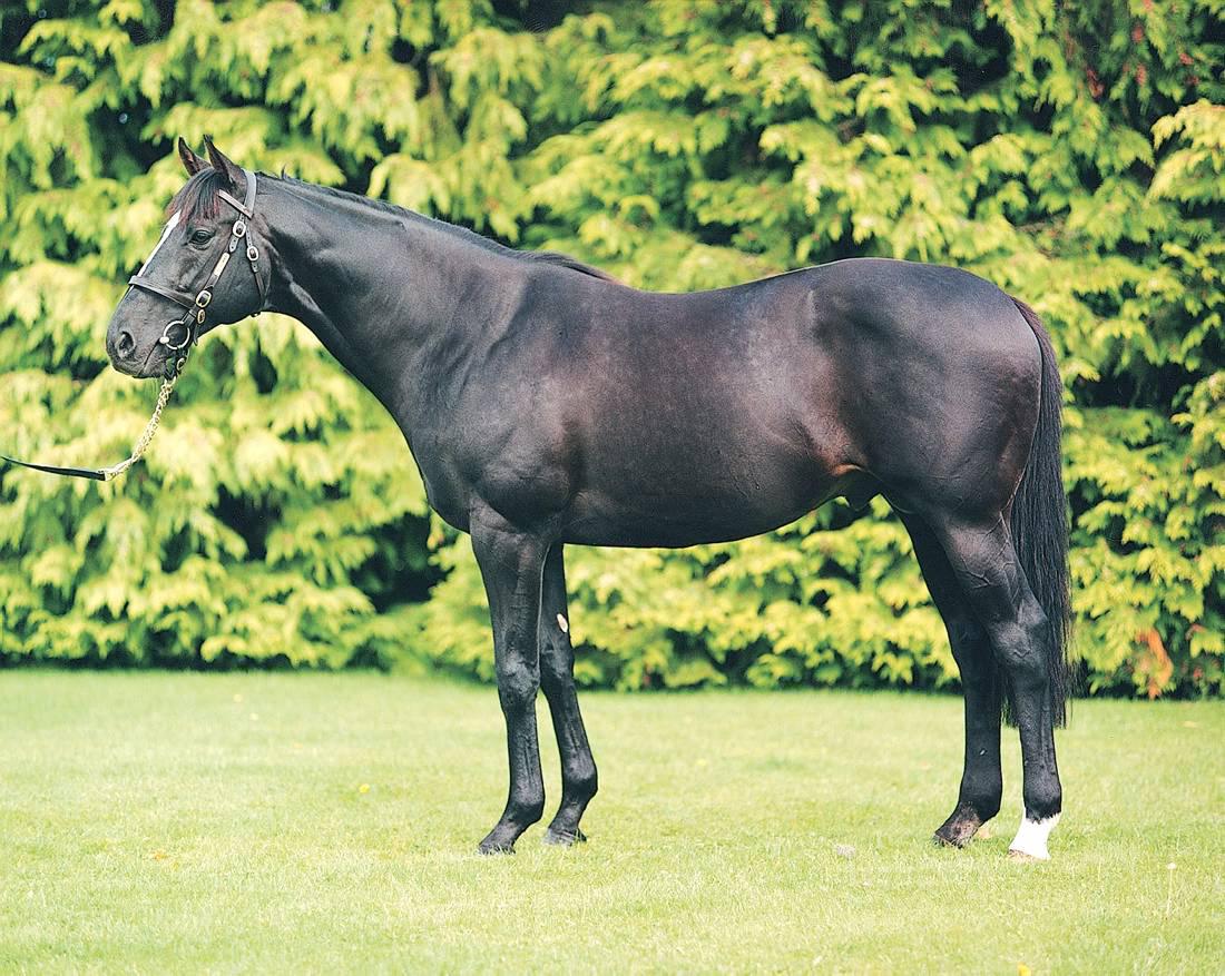 BRITAIN: No Buts a convincing winner