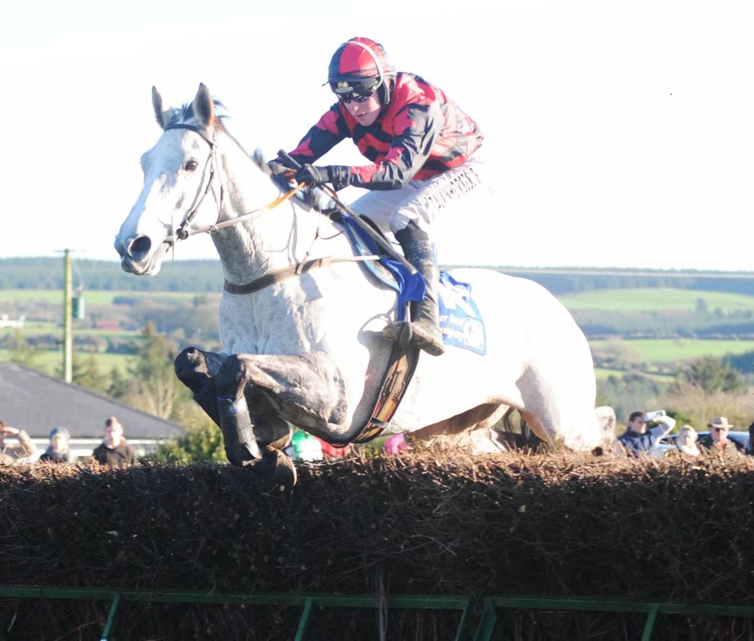 Smart young jumpers at Cheltenham