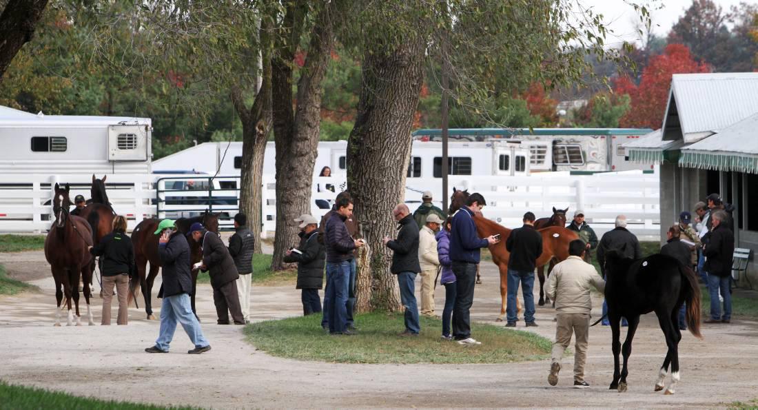 NEWS IN BRIEF:  A round-up of racing and breeding stories (December 6th issue)