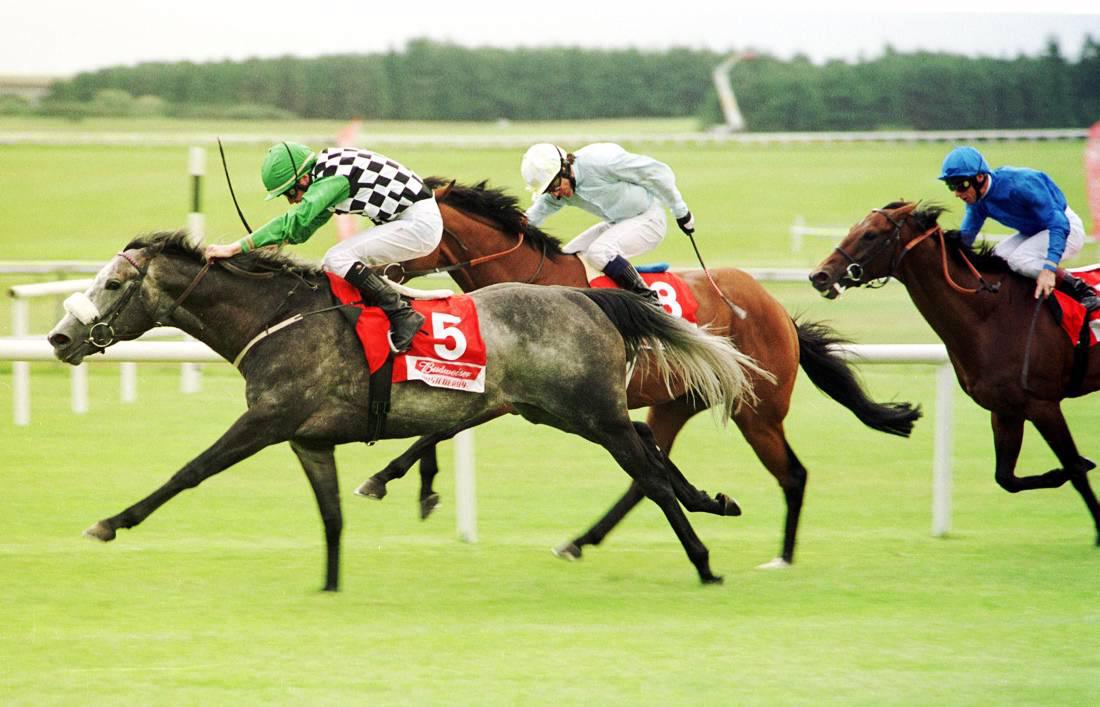 Brief pedigree notes from this weekend's blacktype action