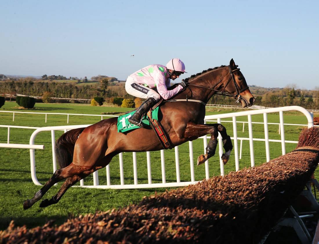 Vautour should defy Real Steel to triumph