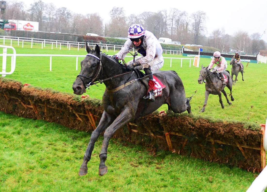 Brief pedigree notes from the recent graded action