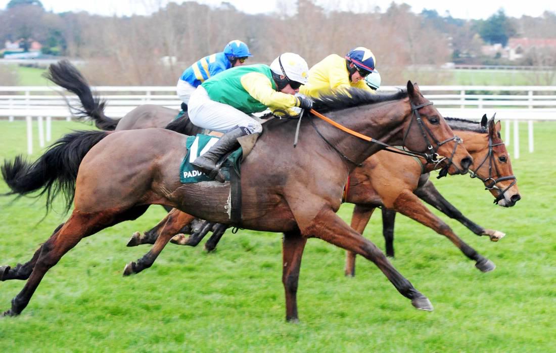 PEDIGREE ANALYSIS: Valuable prize for Beneficial gelding Living Next Door