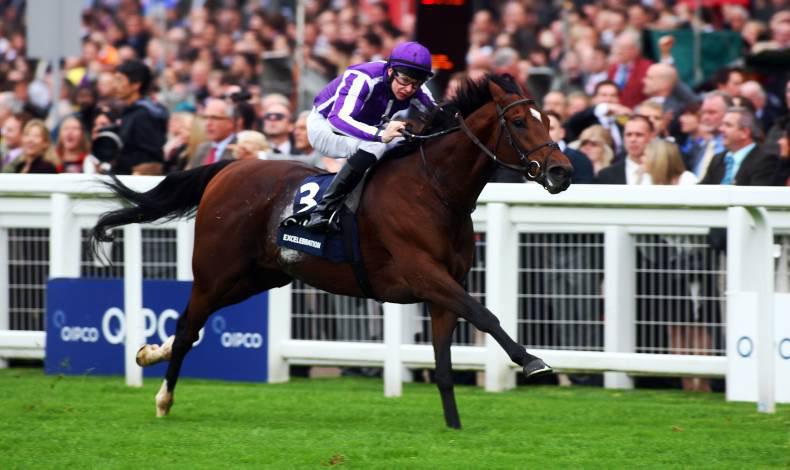 SIRE REVIEW: Excelebration an outstanding miler