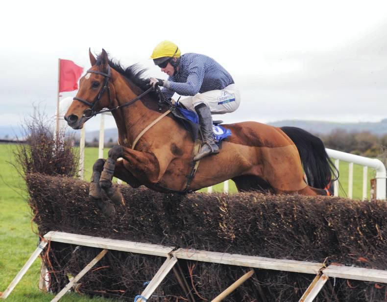 JOHN LLOYD-ROGERS: Welcome winner for Rosemary Rooney