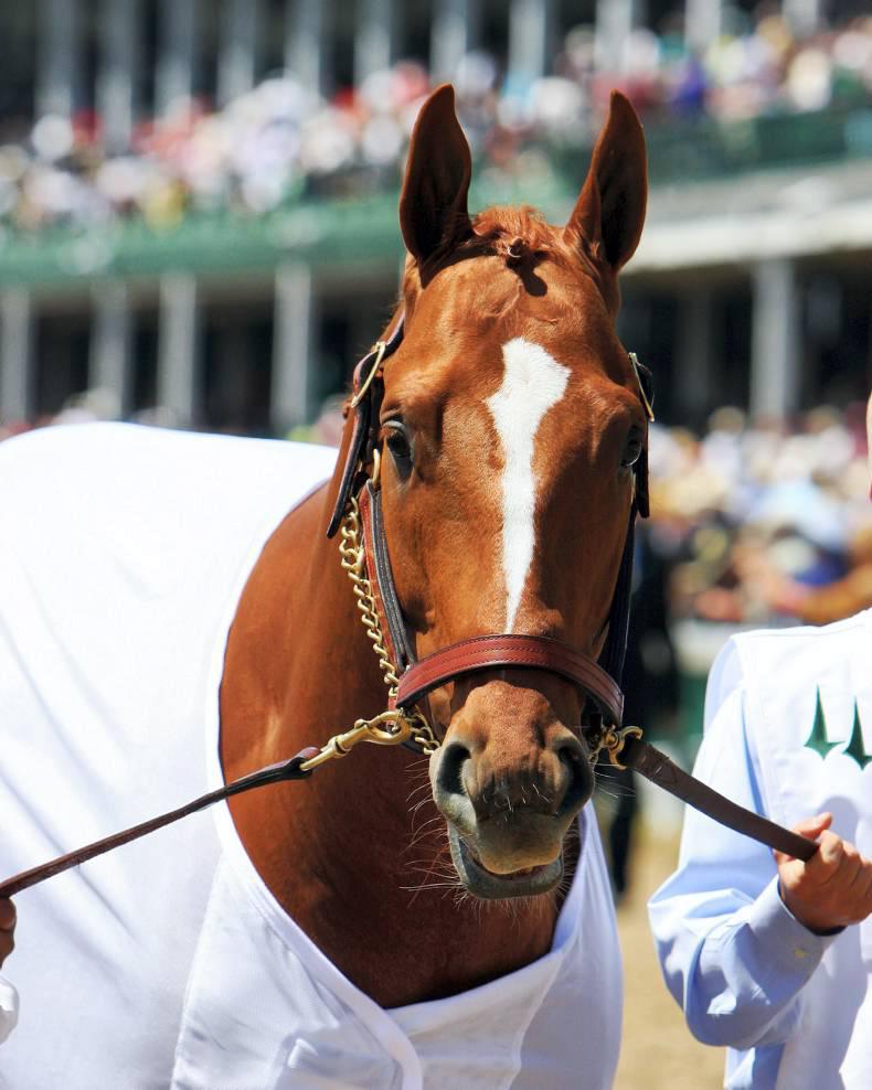 AMERICA: Ocean Knight impressive in 3yo campaign