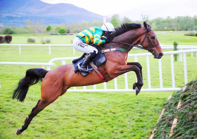 Raymond Smith memorial chase shaping up to be intriguing contest