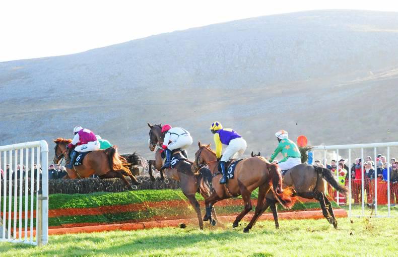 Tattersalls Ireland launches online market for point-to-pointers 