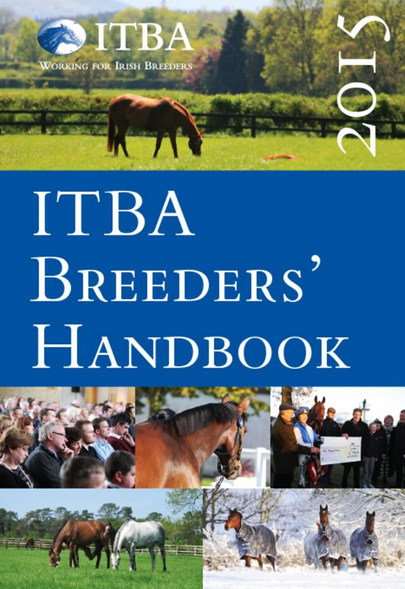 YITBA seminar attracts lively crowd