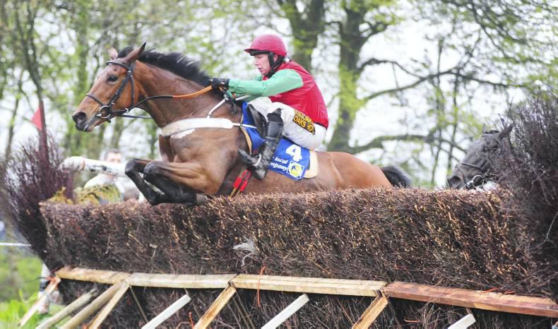 PREVIEW: Emcon should hold off Perfect Woman