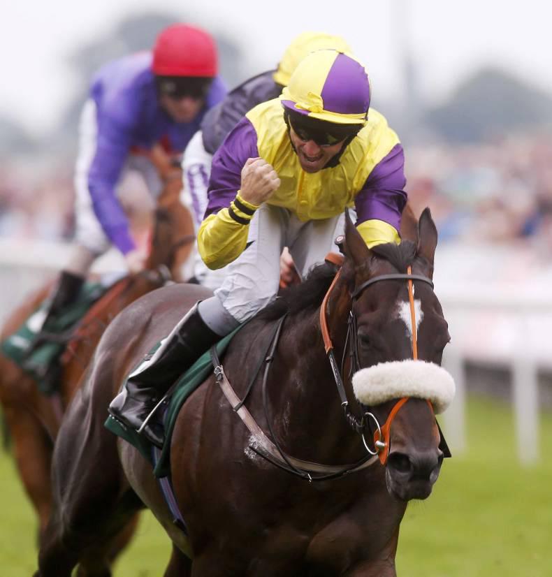 Zarwaan can zoom to Lincoln success