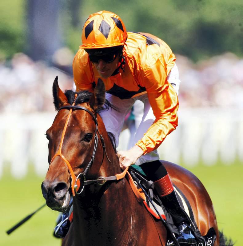 Canford leads first season sire market