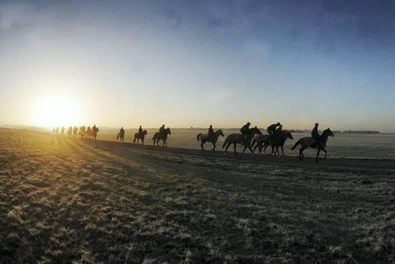 ERA distances itself from Newmarket strangles case