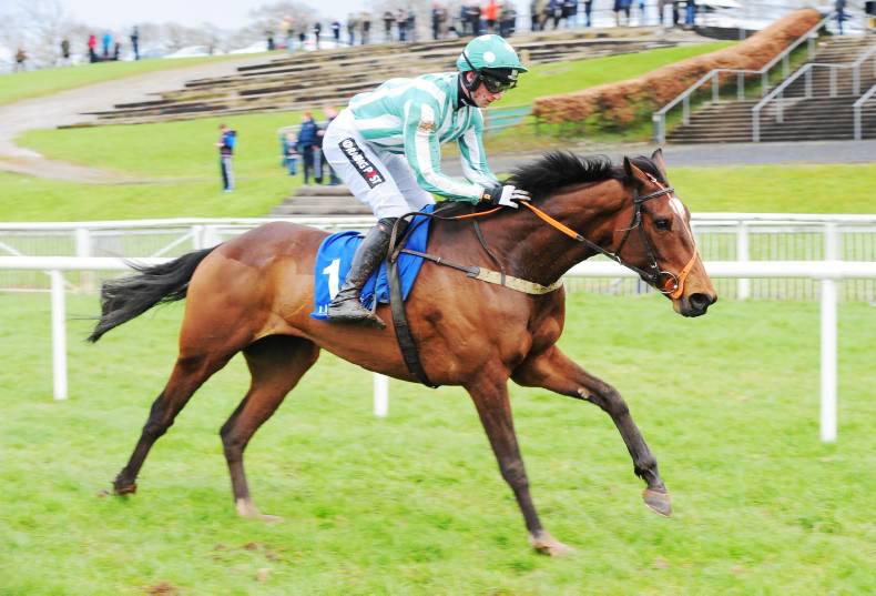 Punchestown Sale: Proven winners bound to attract strong interest