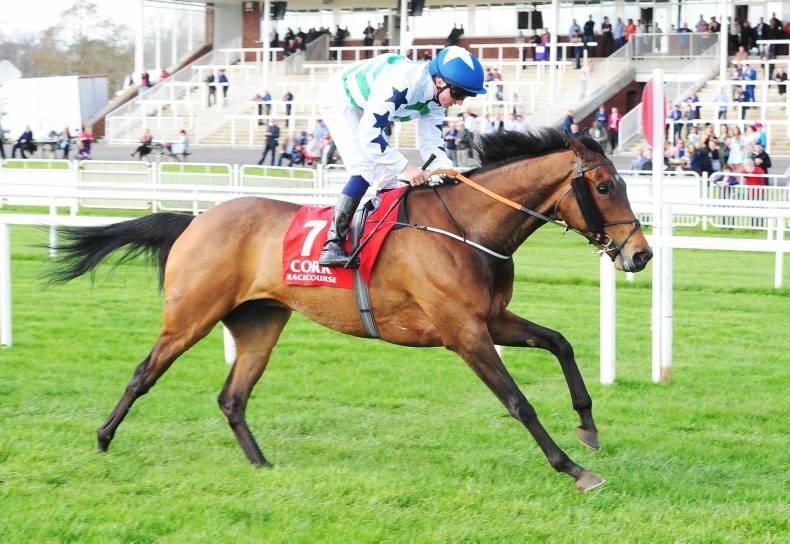 PREVIEW:  Cailinn Alainn should prevail over Papa's Way