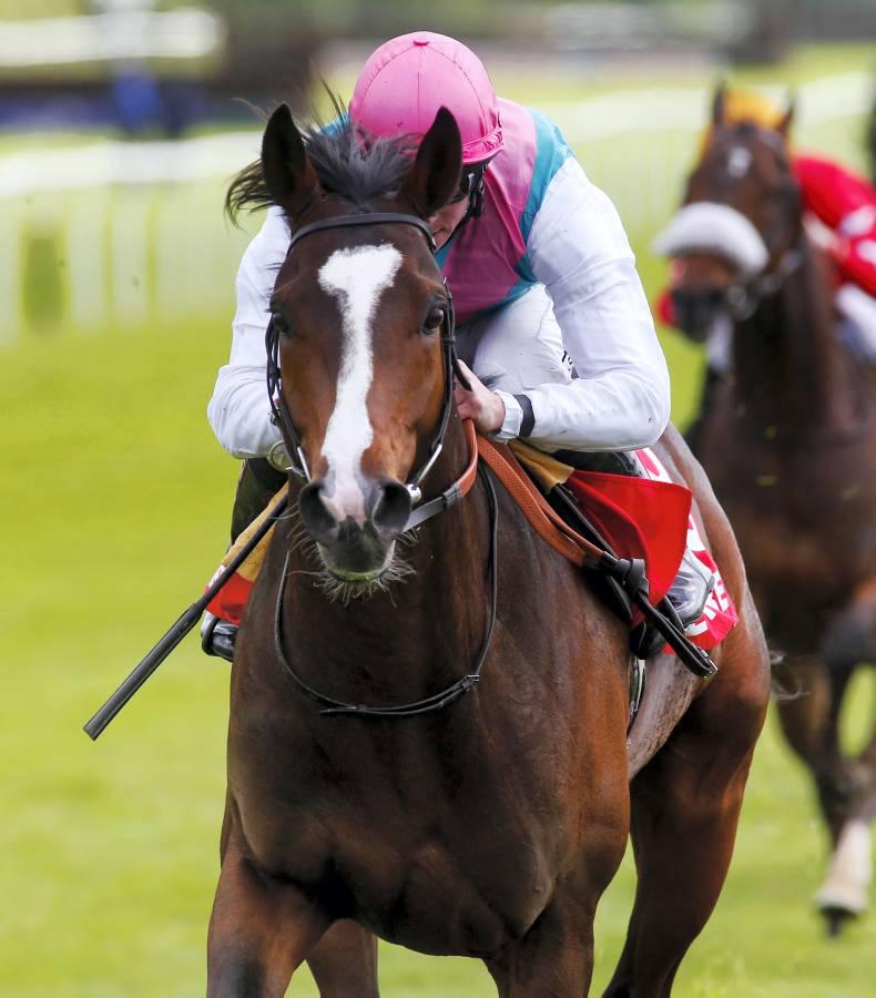 PEDIGREE NOTES: Pattern winners from 11th to 15th May