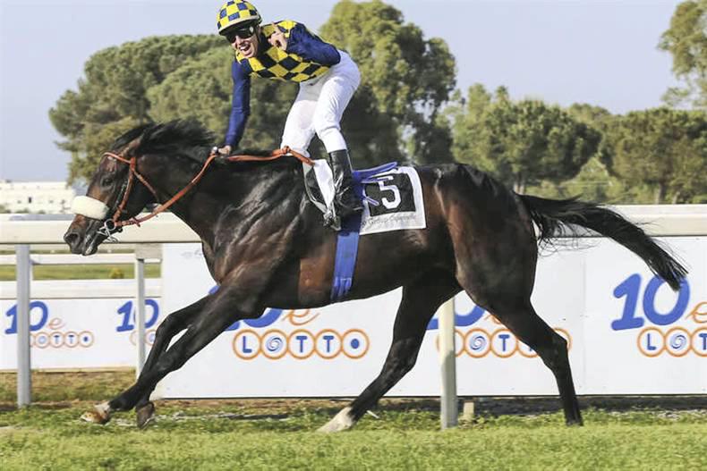 ITALY: Goldstream stays undefeated in Italian Derby