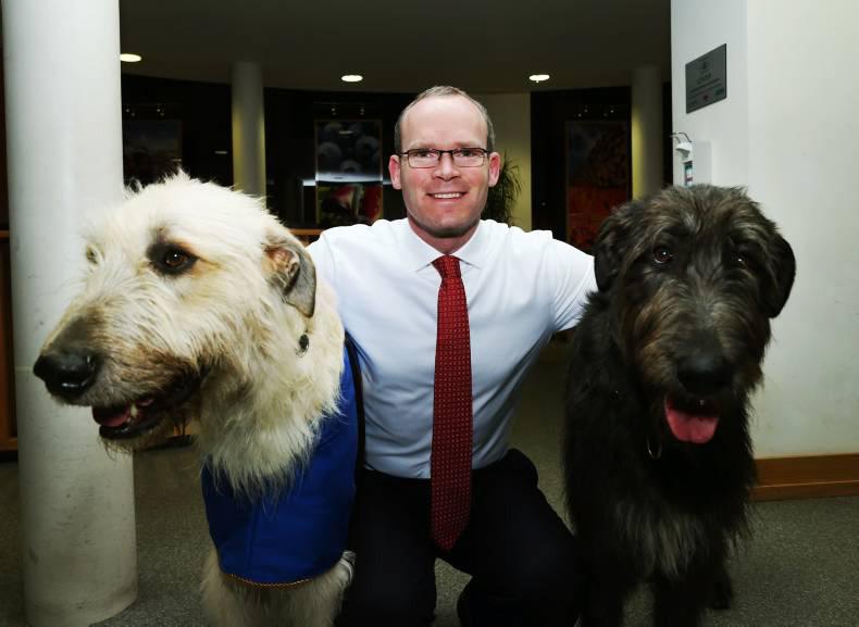 BARKING NEWS:  Dogs Trust: 10 years of helping Irish dogs