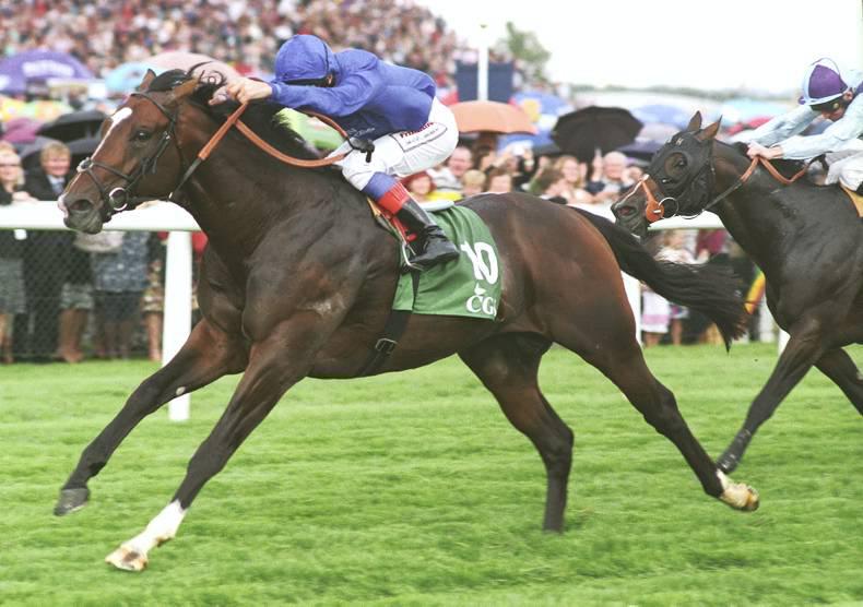 FRESHMAN SIRES: This week's winners – 25th to 31st May