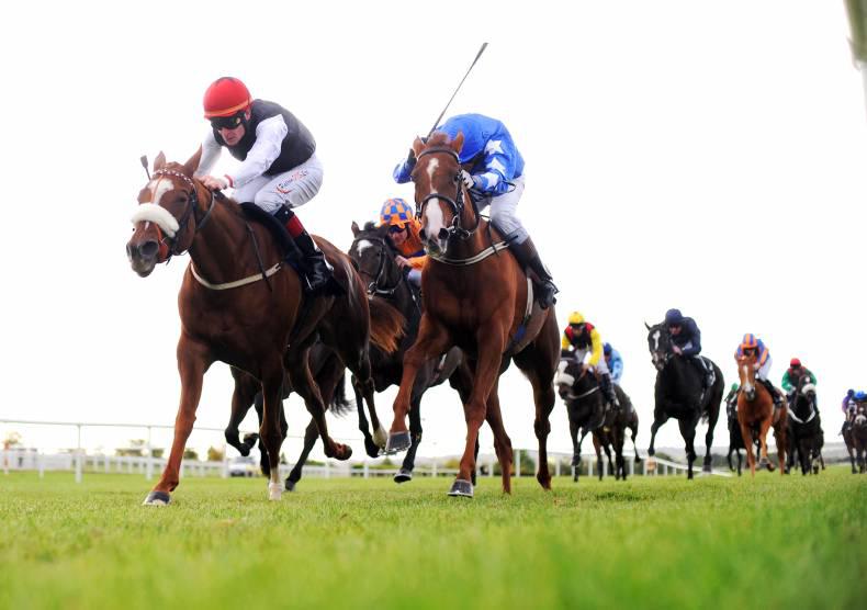 High Court recognises 'gentleman's agreement' over Excelebration relative