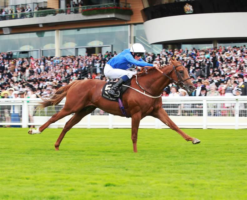 Buratino now has potential sire appeal