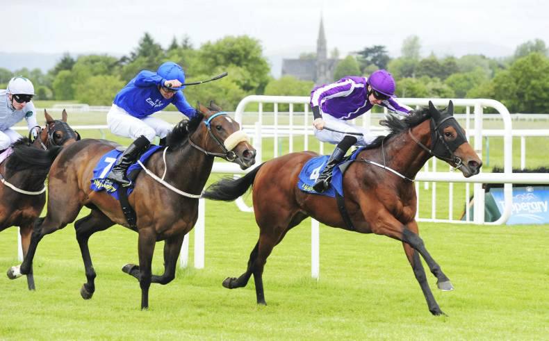 FRESHMAN SIRES: This week's winners 15th - 21st June