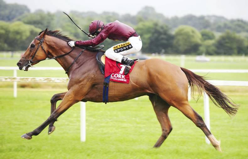 Large July Sale at Newmarket  