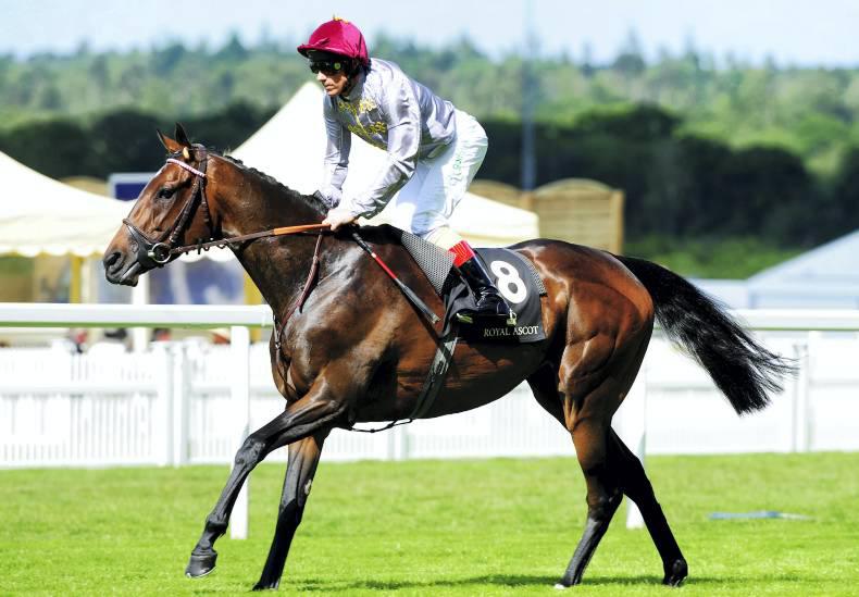 PEDIGREE NOTES: This weekend's pattern winners – 27th & 28th June