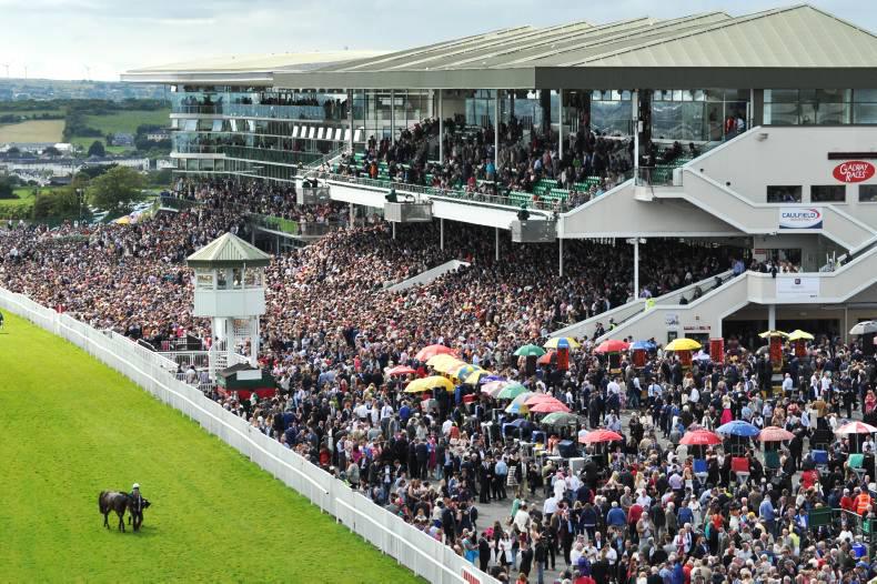 New drive to find more racehorse owners