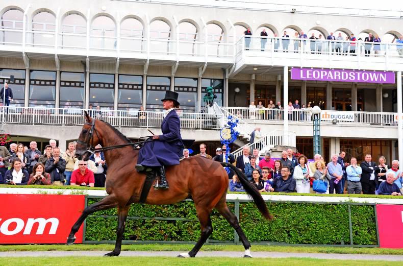 Racehorse to riding horse: the Dublin challenge