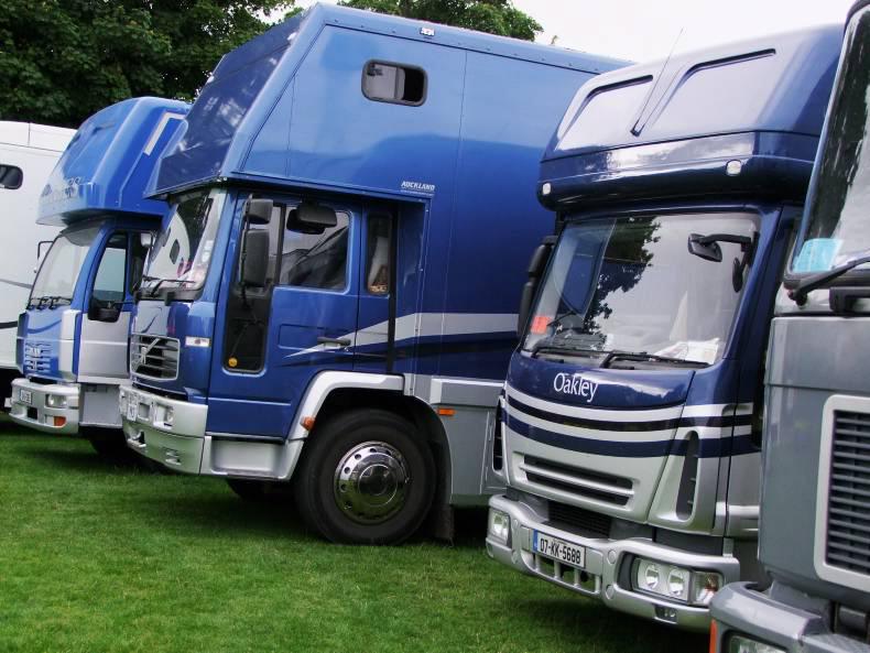 Irish horses avoid cross-channel ferry chaos