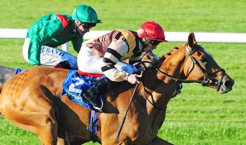 Breeding Insights: Willie McCreery strikes with juvenile double