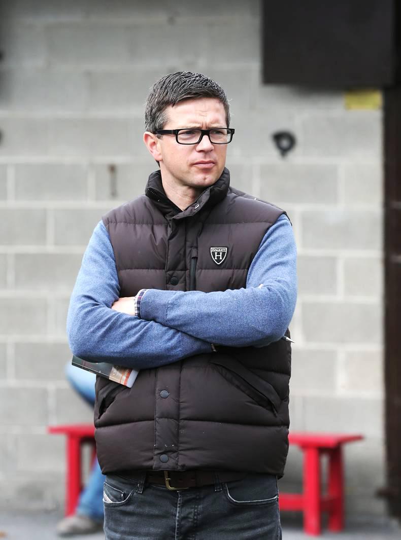 Breeding Insights: Realtra boost for Tattersalls Ireland-bound sibling