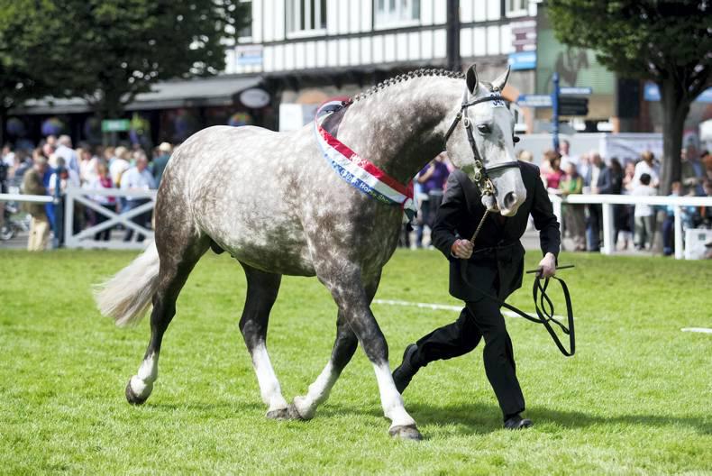 Noble Class proves a wise purchase for Charlton