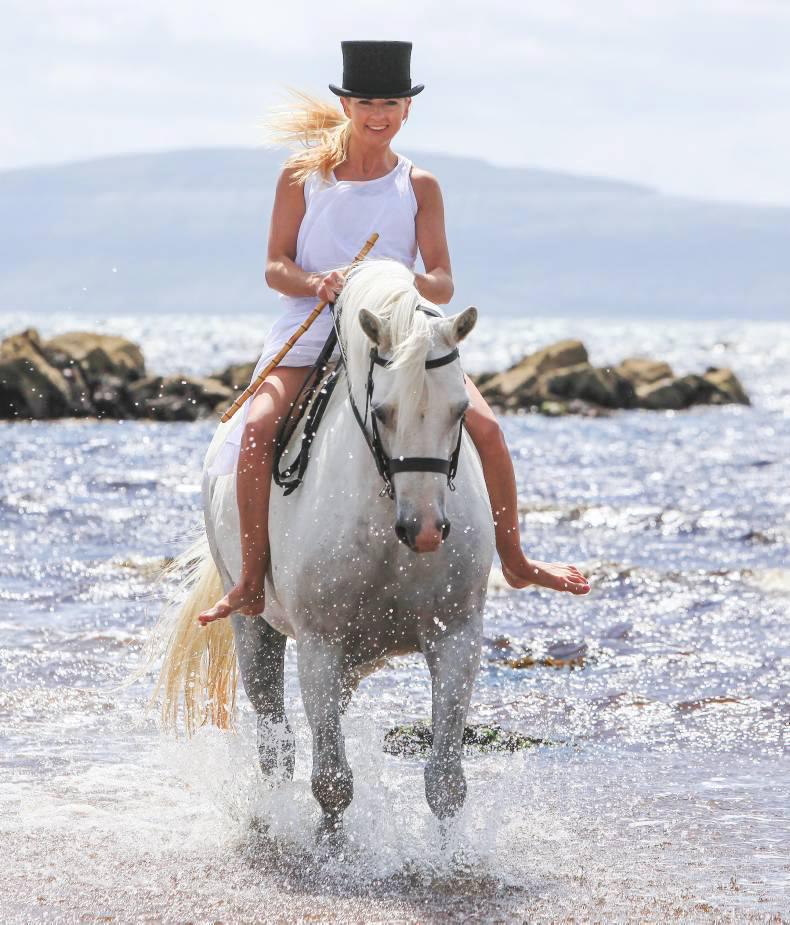 Clifden gears up for Connemara Pony Festival