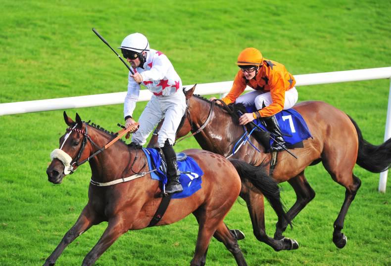 ROSCOMMON MONDAY: A poignant victory for Greanta