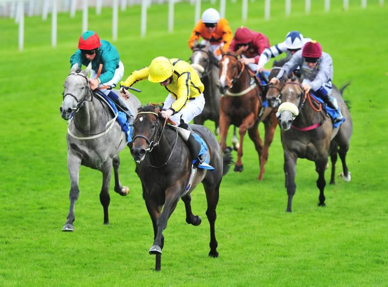 YORK THURSDAY: Besharah better than ever