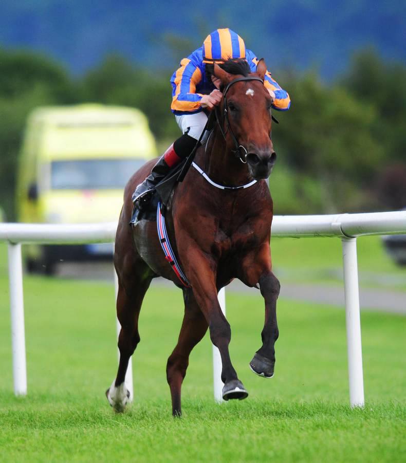 Pedigree Insights: Vermeer enters the classic picture